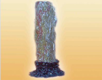 ֱ